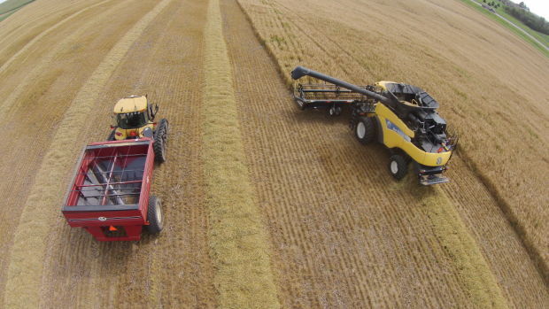 Harvest time